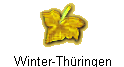 Winter-Thüringen