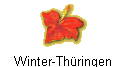 Winter-Thüringen